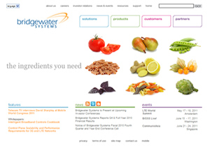 Bridgewater Systems